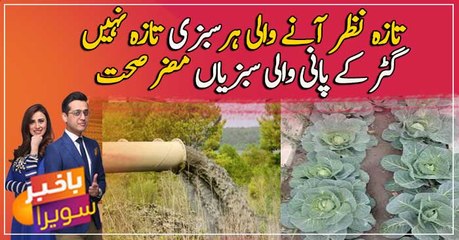 Vegetable farming with sewerage water hazardous for health