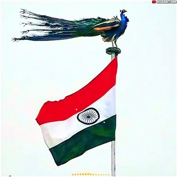 26 january status | republic Day special status 2021 | 26 January Status | Republic Day status | Republic Day Special Status | Happy Republic Day Status