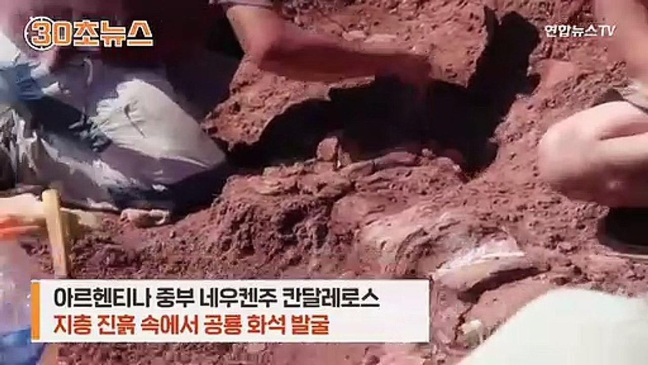 [30초뉴스] 이 화석의 정체는?…역대 최대 크기 공룡 추정