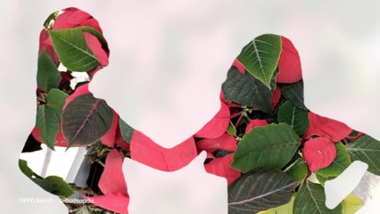 OPPO Reno5 Series 5G Part2