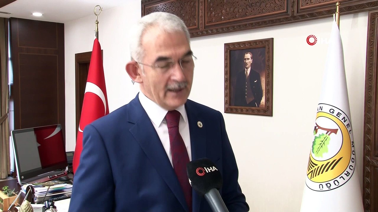 Orman Genel Müdürü Karacabey, “Çam ağaçları ülkemizin doğal bitki örtüsüdür”