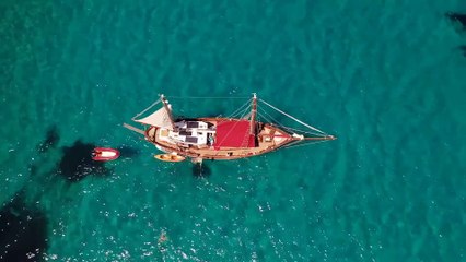 amazing nature videos of the world Free HD Videos - No Copyright