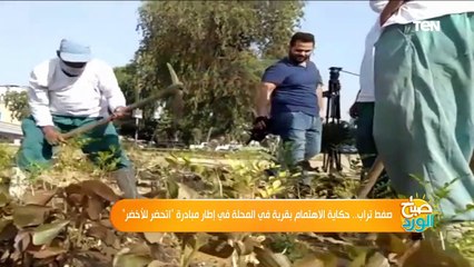 "التغير من الشباب".. طرق الإهتمام بأحد قري المحلة ضمن مبادرة صفت تراب
