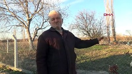 Eşinden miras kalan tarlanın parasıyla evlenmek isterken dolandırıldı