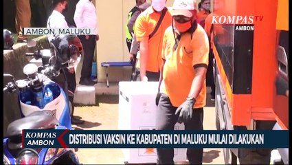 Distribusi Vaksin Ke Kabupaten Di Maluku