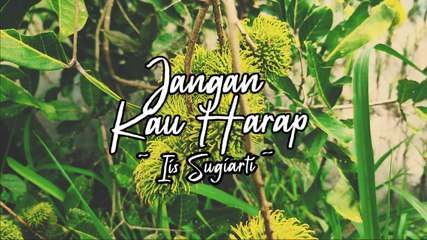 Iis Sugiarti - Jangan Kau Harap (Official Lyric Video)