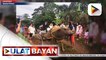 #UlatBayan | Bagong kasal sa Capiz na gumamit ng karosa ng kalabaw bilang wedding car, nagpakilig sa netizens