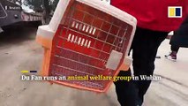 How an animal rescuer saved 10,000 starving pets during Wuhan’s Covid-19 lockdown