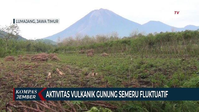 Aktivitas Vulkanik Gunung Semeru Fluktuatif, Warga Diminta Tetap Waspada