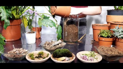 Tuto réalisation terrarium #2