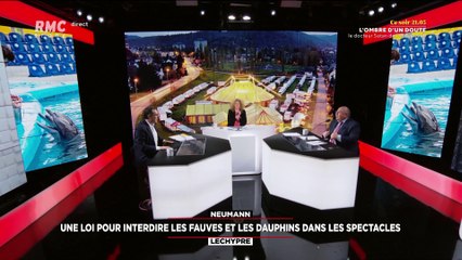 Une loi pour interdire les fauves et les dauphins dans les spectacles - 26/01