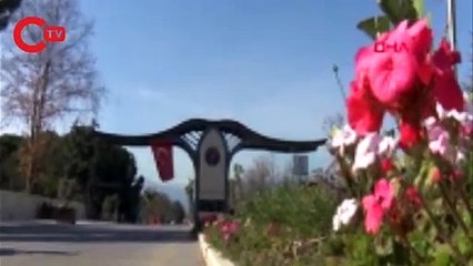 Prof. Dr. Usta: Yan etkisi bilinirse, toplum aşıya daha güvenli bakar