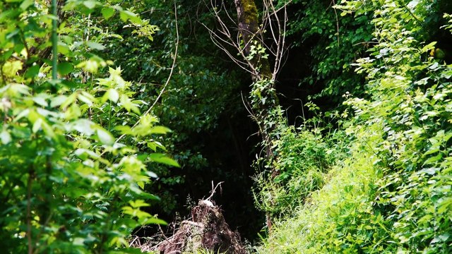 RABASTENS / PRINTEMPS | Caméraman Toulouse Drone Tarn