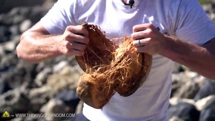 How To Open Coconuts Without Any Tools