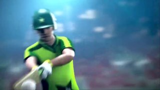 Pakistan vs South Africa |South Africa Fall Of Wickets - Pak vs SA - 1st Test Day 1 | PCB