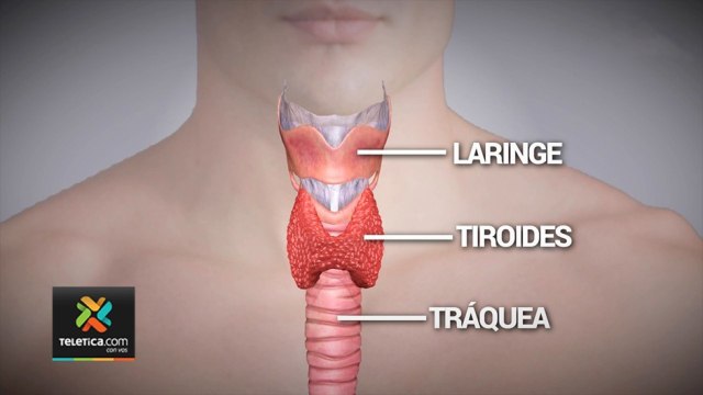 bd-implicaciones-de-vivir-sin-tiroides-260121
