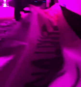 Supporters du Standard à Charleroi 1