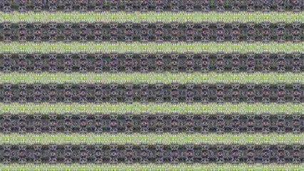 Mr.TrashRecPI - Can you feel NEW CLIP/Full Film/Ganzer Film/Complete Movie