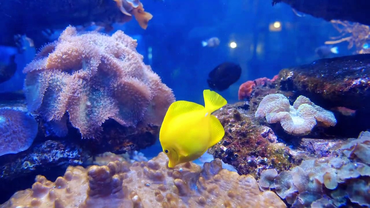 Under Water