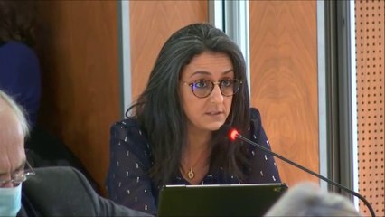 Dénia HAZHAZ. Plan d'actions pour les jeunes. Session du 25 janvier 2021