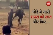 The horse kicked the person dancing and then something like this happened, viral video