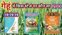 गेहूं में घुलनशील NPK कब -कब स्प्रे करें|Gehu Me NPK Ka Spray Kab Kare|NPK Best Used in Wheat Crop|