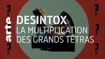 La multiplication des Grands Tétras | 26/01/2021 | Désintox | ARTE