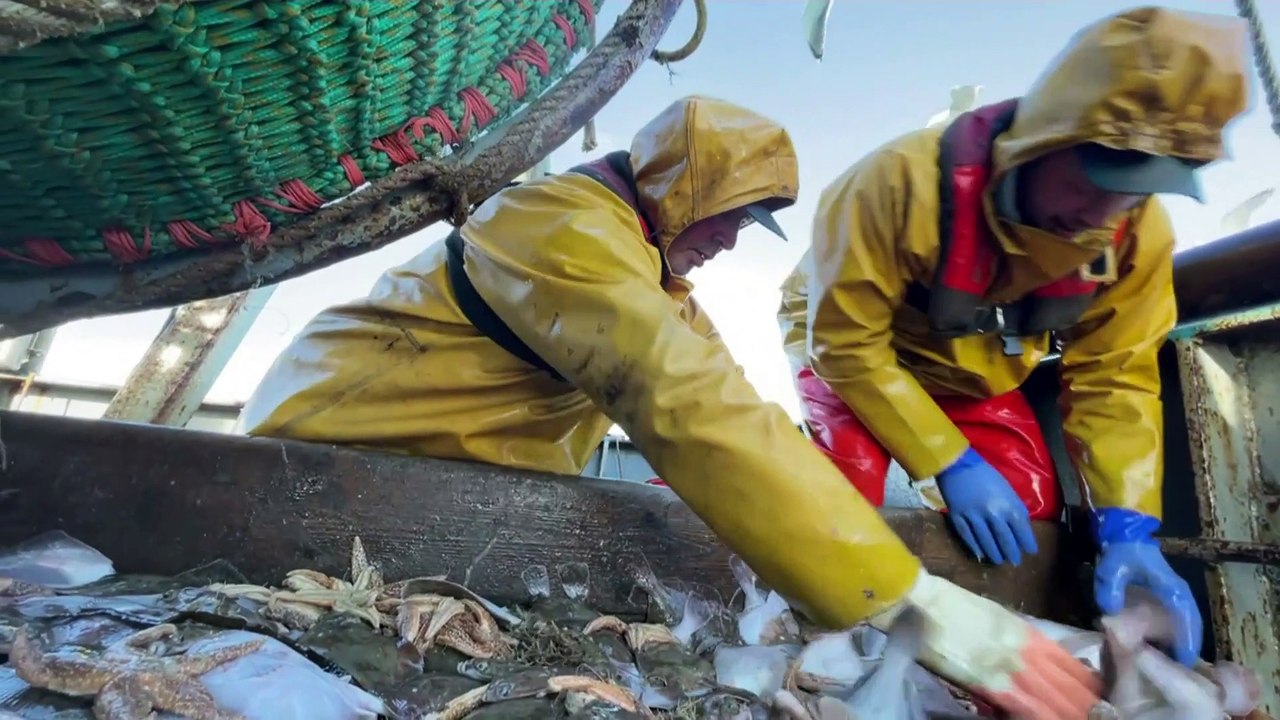 Britische Fischer beklagen schwere Einbußen durch die Folgen des Brexit