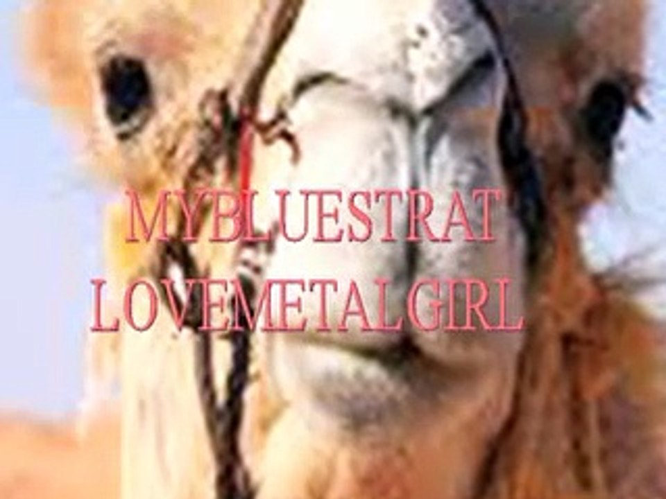 LOVEMETALGIRL