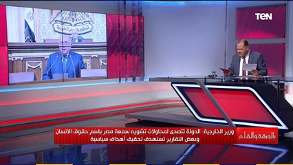 الدولة تتصدى لمحاولة تشويه سمعة مصر..ماذا قال وزير الخارجية أمام البرلمان عن حقوق الإنسان؟الديهي يوضح