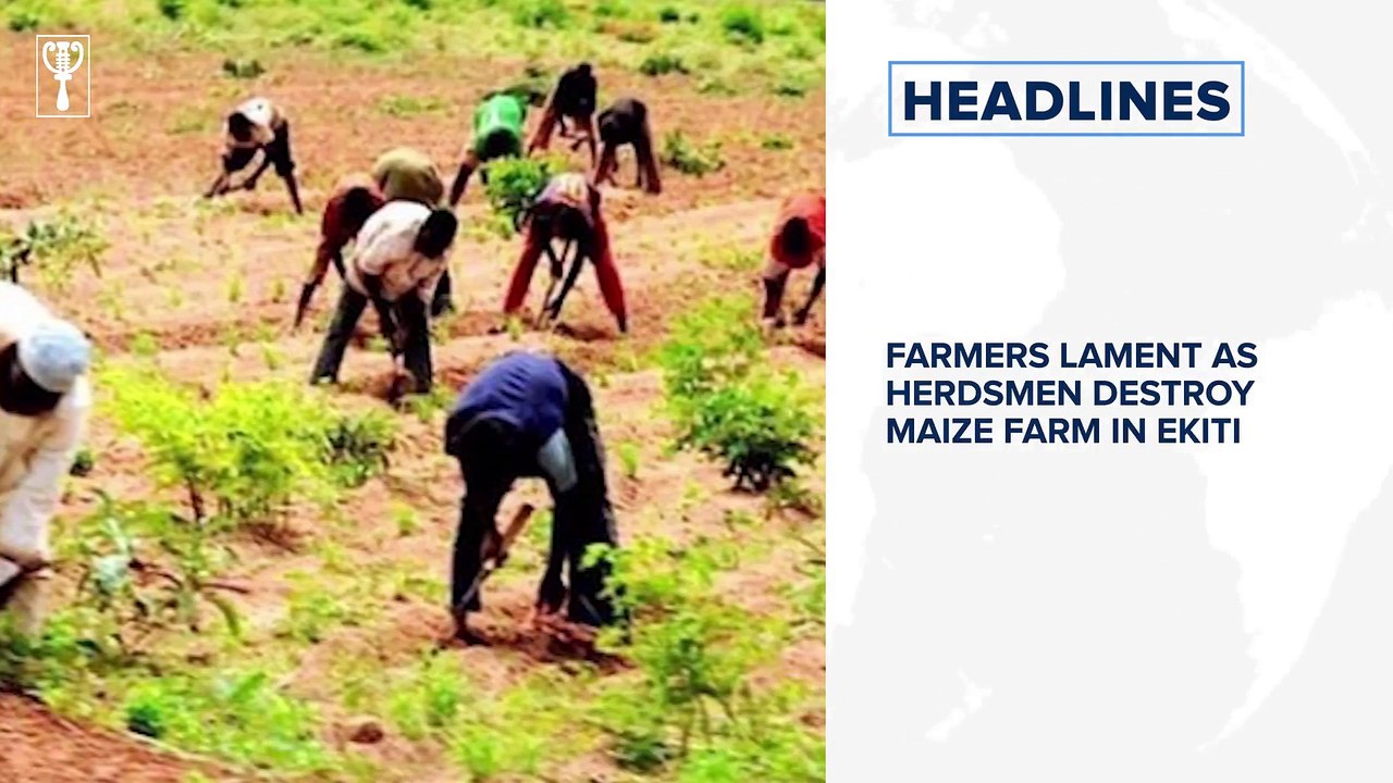 Buhari bows to pressure, replaces service chiefs, CBN retains interest rate at 11.5% – Report and more