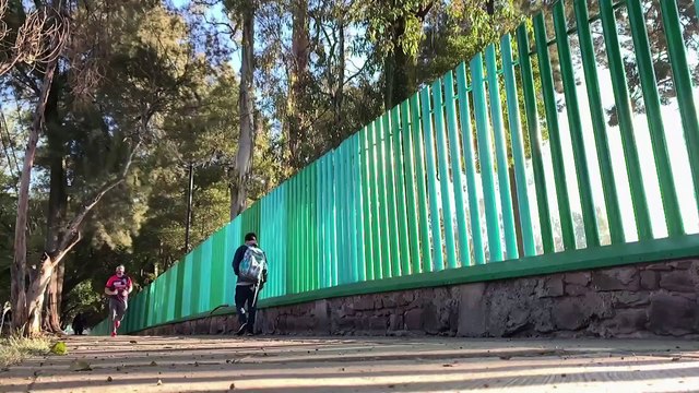 SIMICARRERA VIRTUAL | Correr con causa