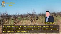 Matera - Truffa su fondi in agricoltura 11 arresti, coinvolti funzionari pubblici (26.01.21)