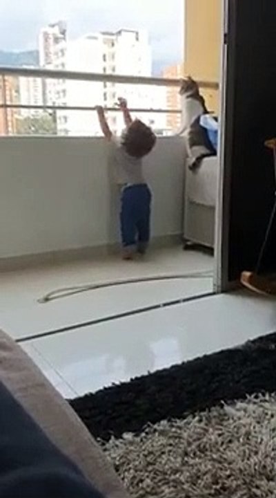 قطة تنقذ طفلا من الموت