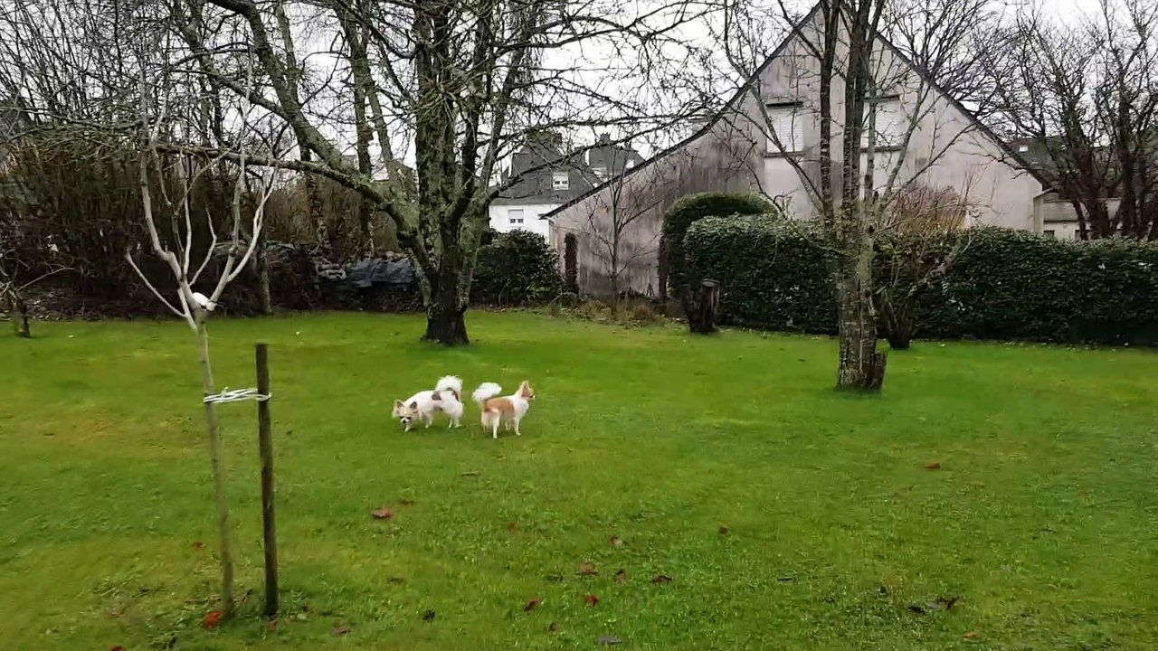 Phandor et Phloème au jardin