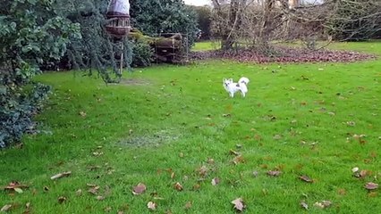 Les 2 petits au jardin