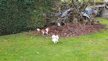 Jeux avec Juliane suite