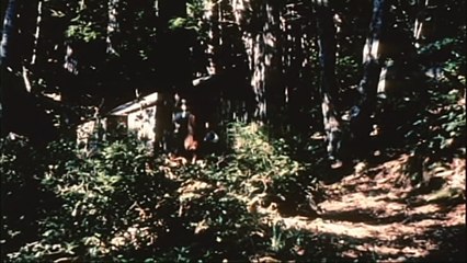 The Terror (1963) Francis Ford Coppola Full Horror, Thriller Movie part 1/2