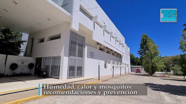 Humedad, calor y mosquitos. Recomendaciones y prevención