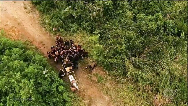 NOVELA GÊNESIS CAPITULO 6 COMPLETO - 26-01-2021 TERÇA