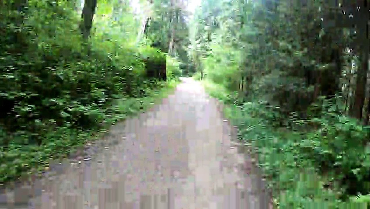 Stanley Park timelaps