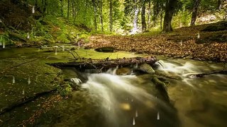 MÚSICA RELAJANTE PARA DORMIR profundamente