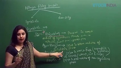 Biological Clasification by sb mam_2 Biological classification sb mam part 8