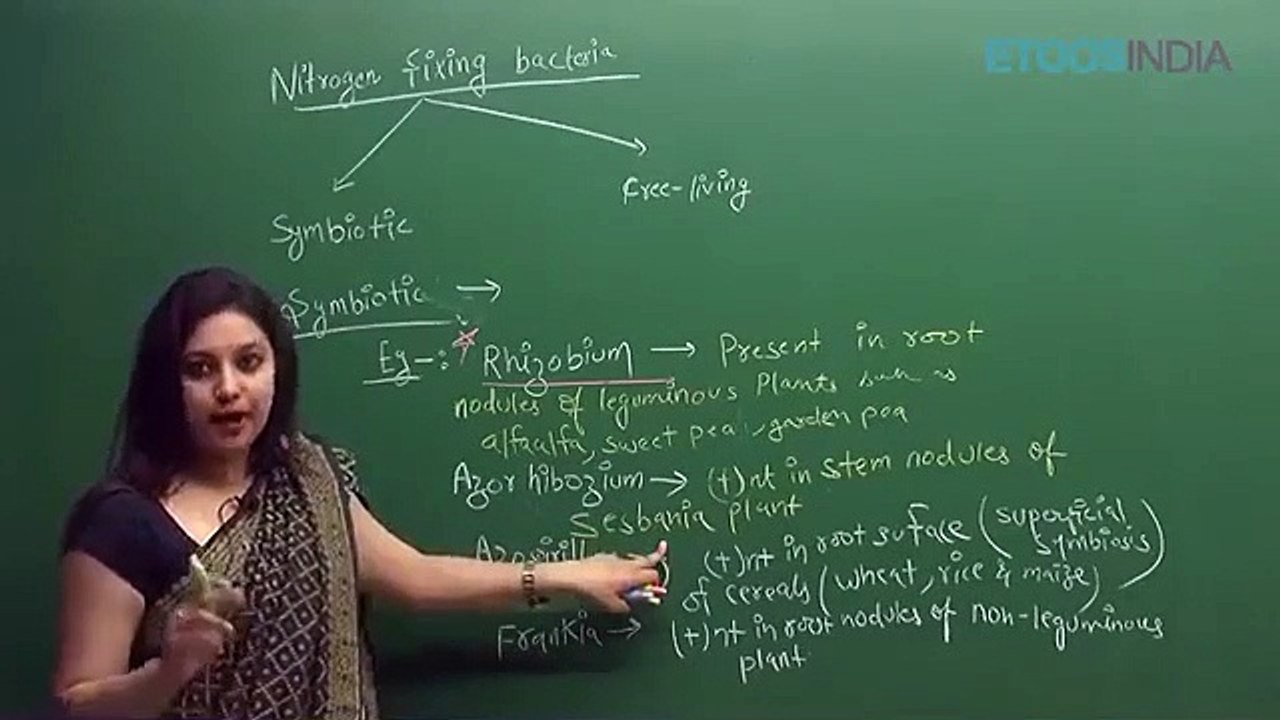 Biological Clasification by sb mam_2 Biological classification sb mam part 8