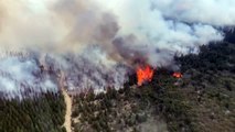 Incendio forestal devora 6.500 hectáreas de bosque en el sur de Argentino