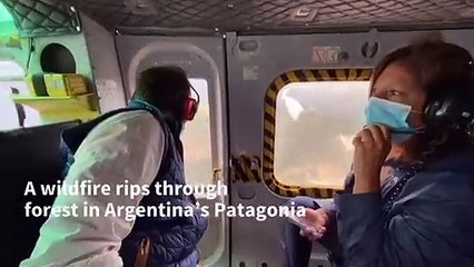 Wildfire ravages massive section of Argentine forest