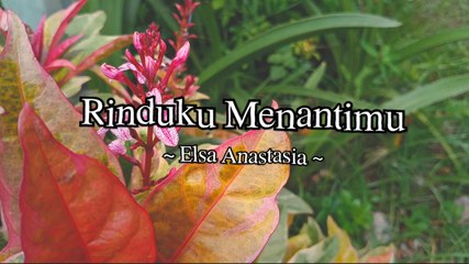 Elsa Anastasia - Rinduku Menantimu (Official Lyric Video)