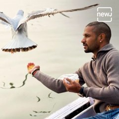 Shikhar Dhawan Gets Into Trouble After Feeding Birds In Varanasi