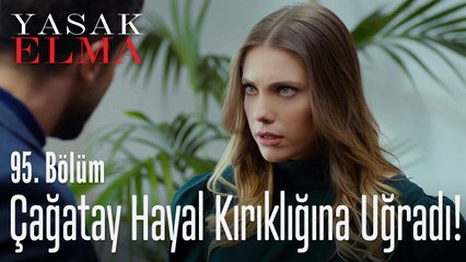 Kiralık oyuncu skandalı - Yasak Elma 95. Bölüm