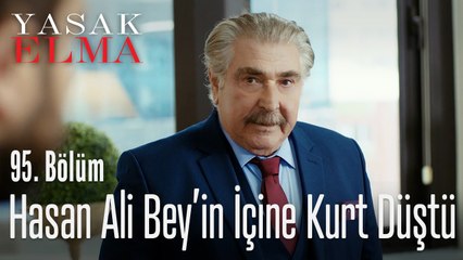 Hasan Ali'nin içine kurt düştü - Yasak Elma 95. Bölüm